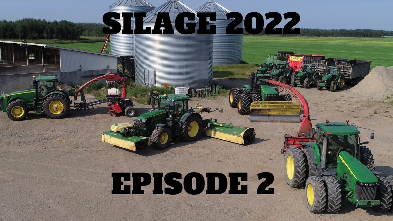 JF STOLL FORAGE HARVESTER silage 2022 episode 2