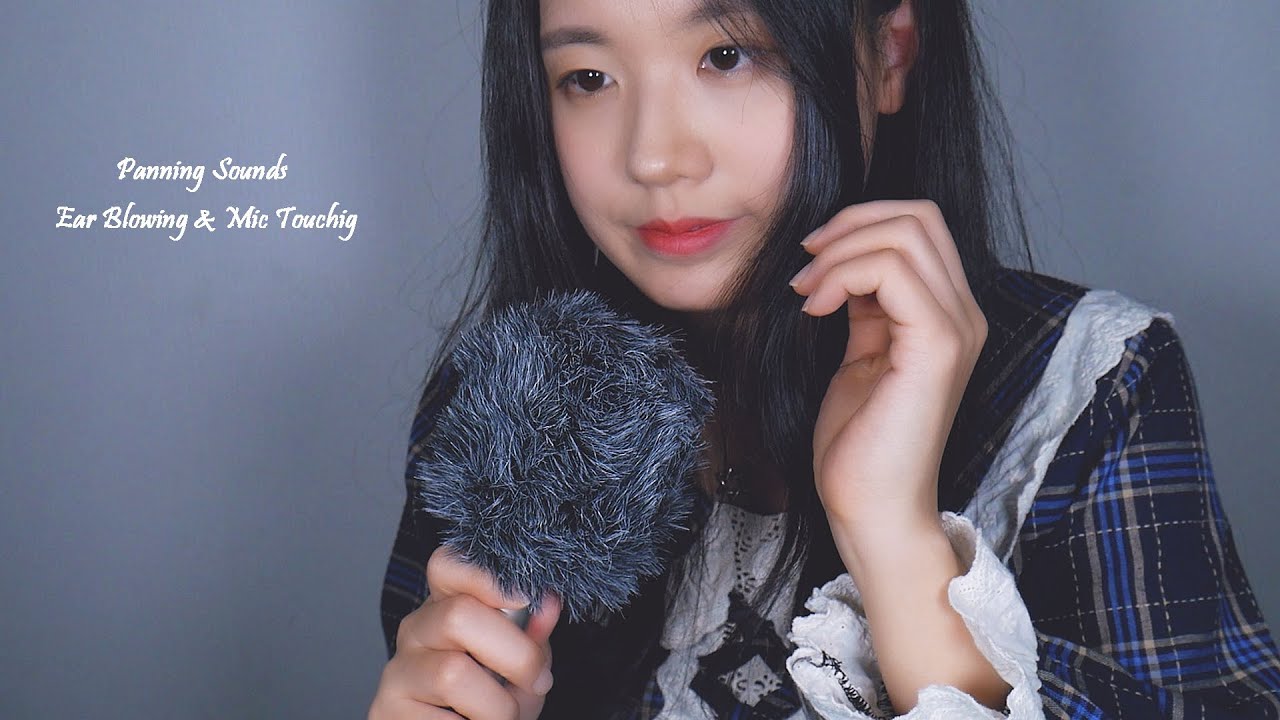 [ASMR] Brain Penetrating Massage & Ear Blowing for Sleep | Fluffy Mic Touching, Panning (No Talking)