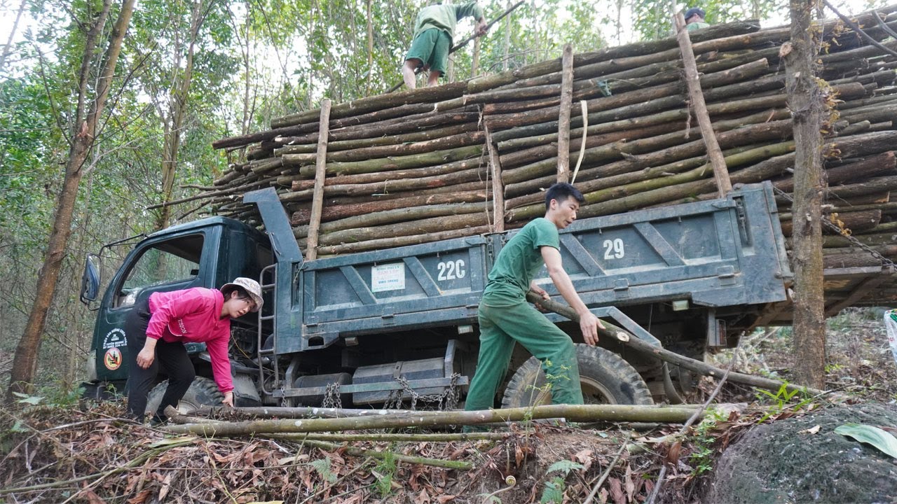 life of a poor couple in the countryside who work from logging