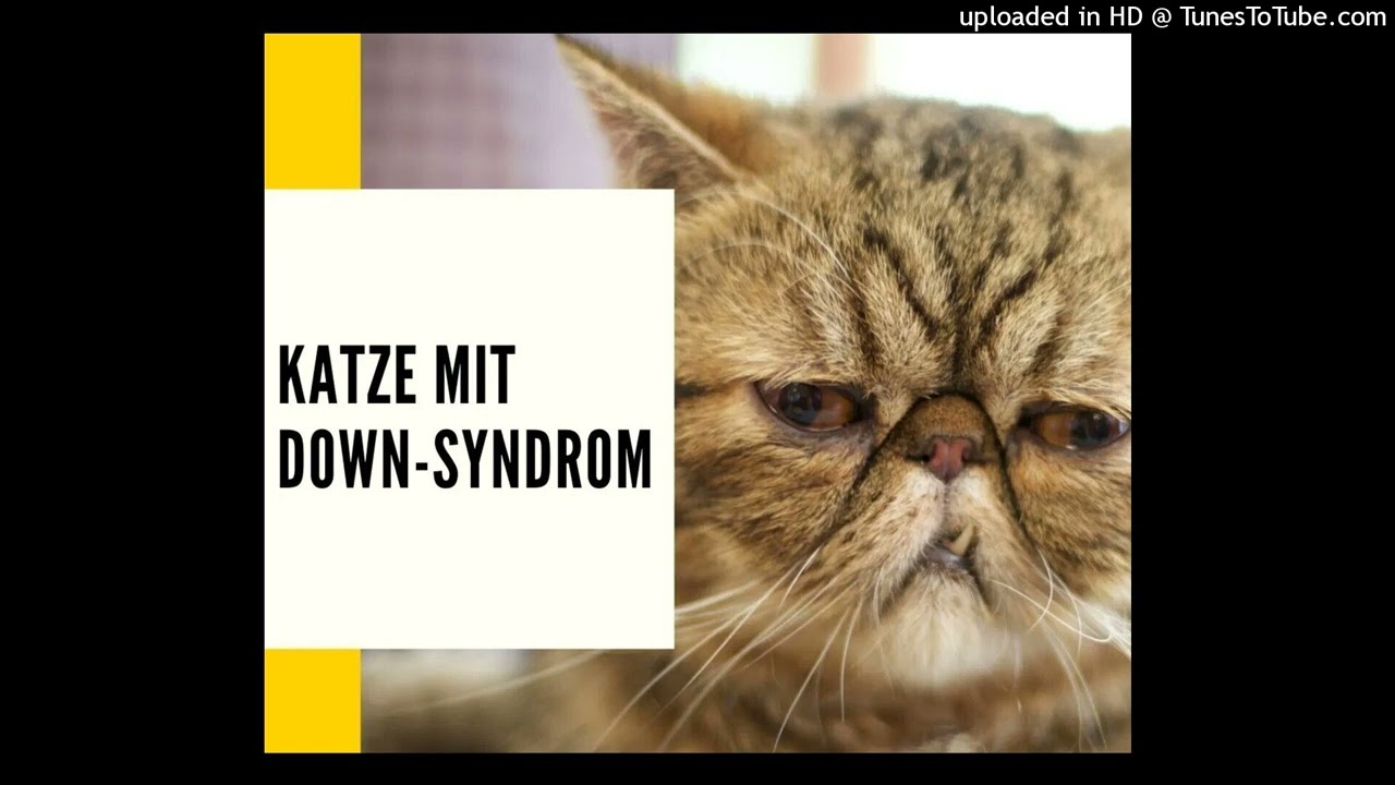 FiKkI lEbT nOcH jAjA wUpPeRmUkKe
