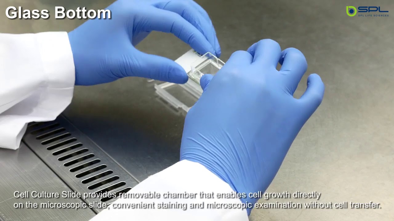 SPL Cell Culture Slide