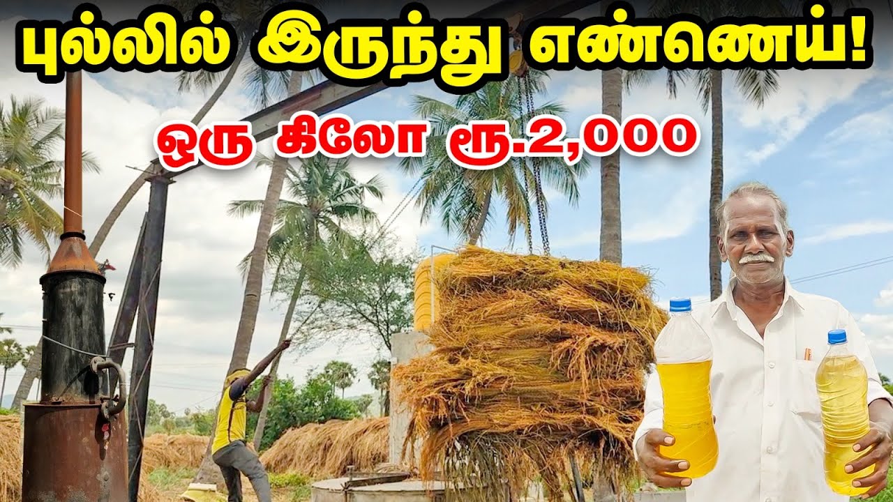 புல்லில் இருந்து Oil -ஆ 😲  இது புதுசா இருக்கேப்பா  | ஈஸியாக சம்பாதிக்க இப்படியும் செய்யலாம்!