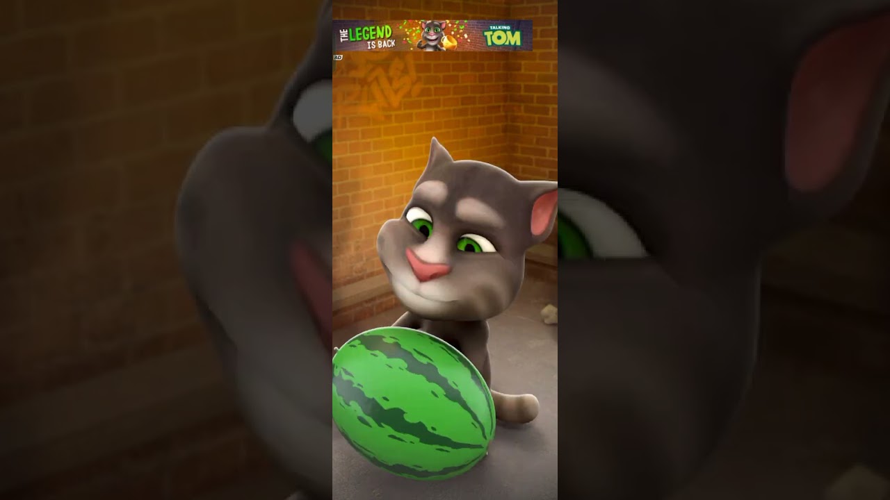 Talking Tom cat 