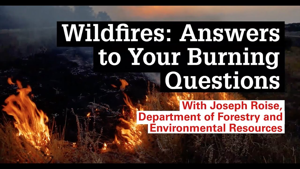 Wildfires: Answers to Your Burning Questions