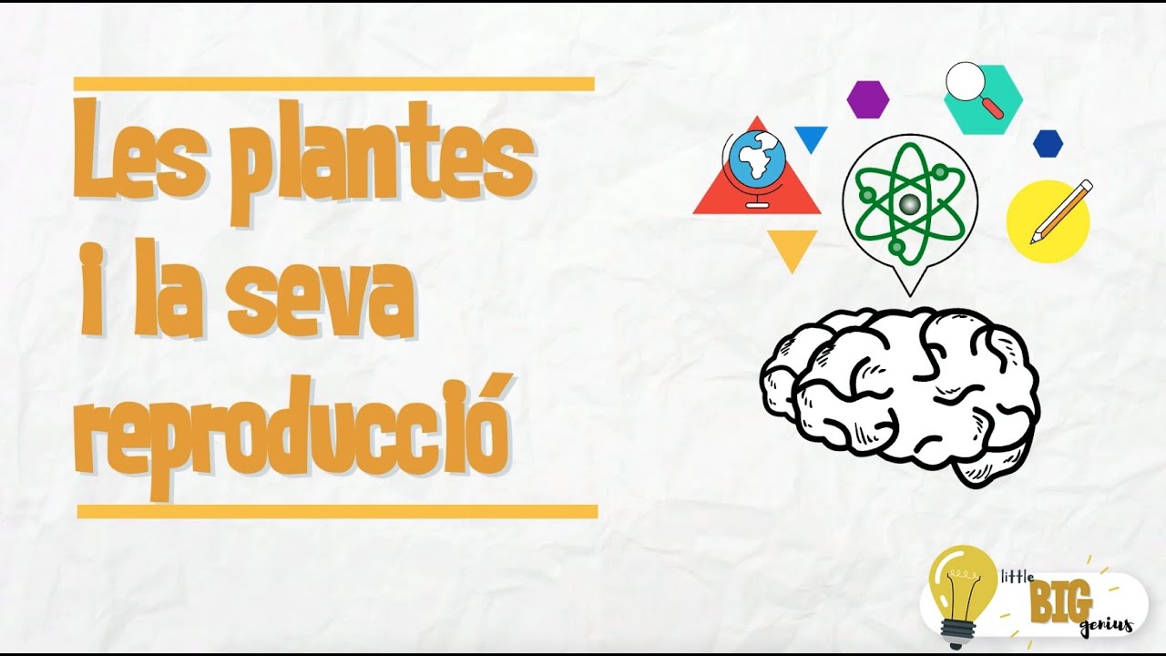 Les plantes i la seva reproducció - Little Big Genius