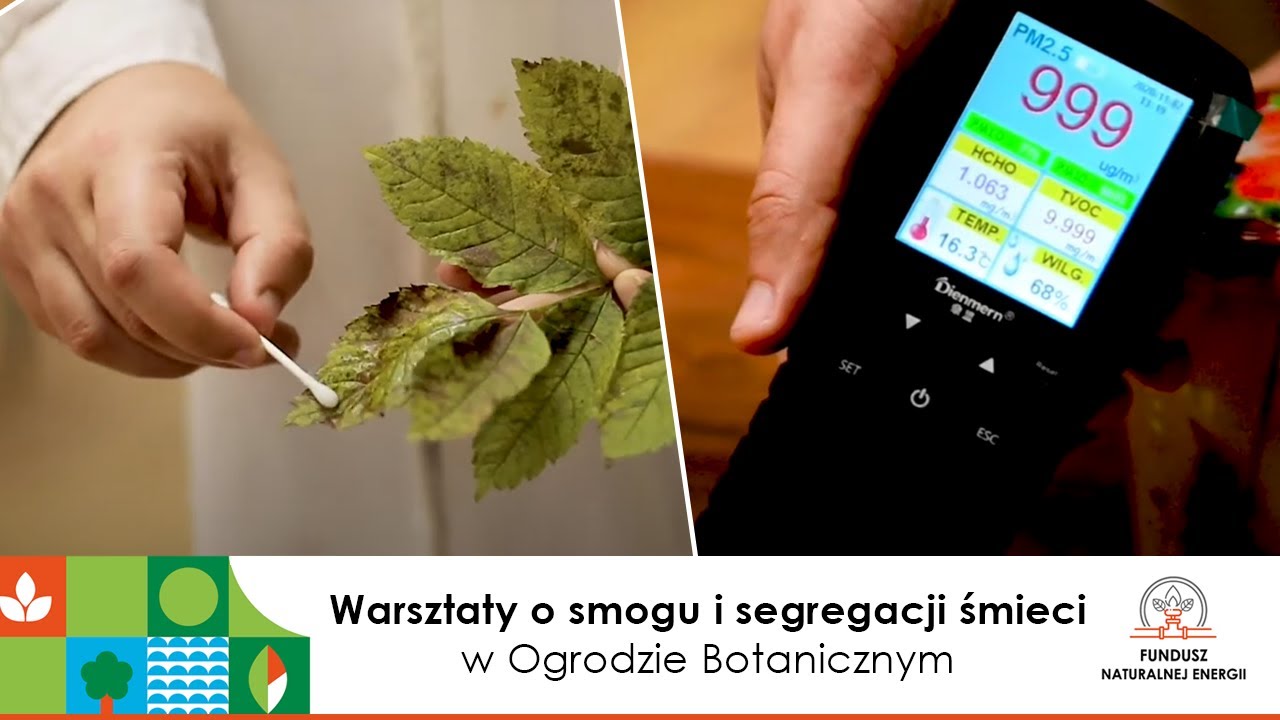 Edukacja dla ochrony środowiska - Fundusz Naturalnej Energii