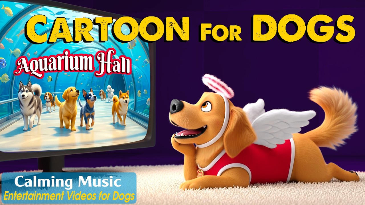Dog Cartoon: Calming Dog TV for Bored Dogs Home Alone &ndash; Reduce Stress & Anxiety with Music for Dogs