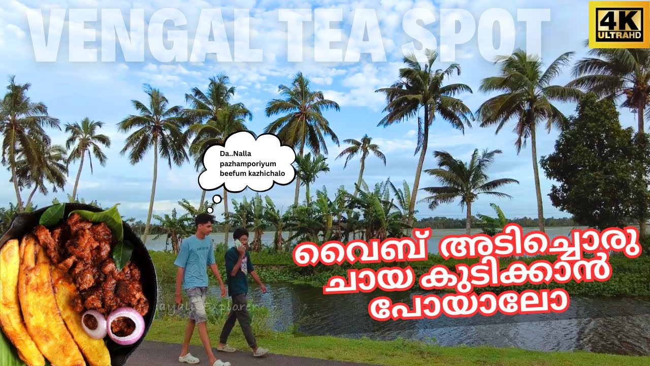 പാടം - കാറ്റു - ചായ - വൈബ് | Tea spot Thiruvalla, vengal, mepral