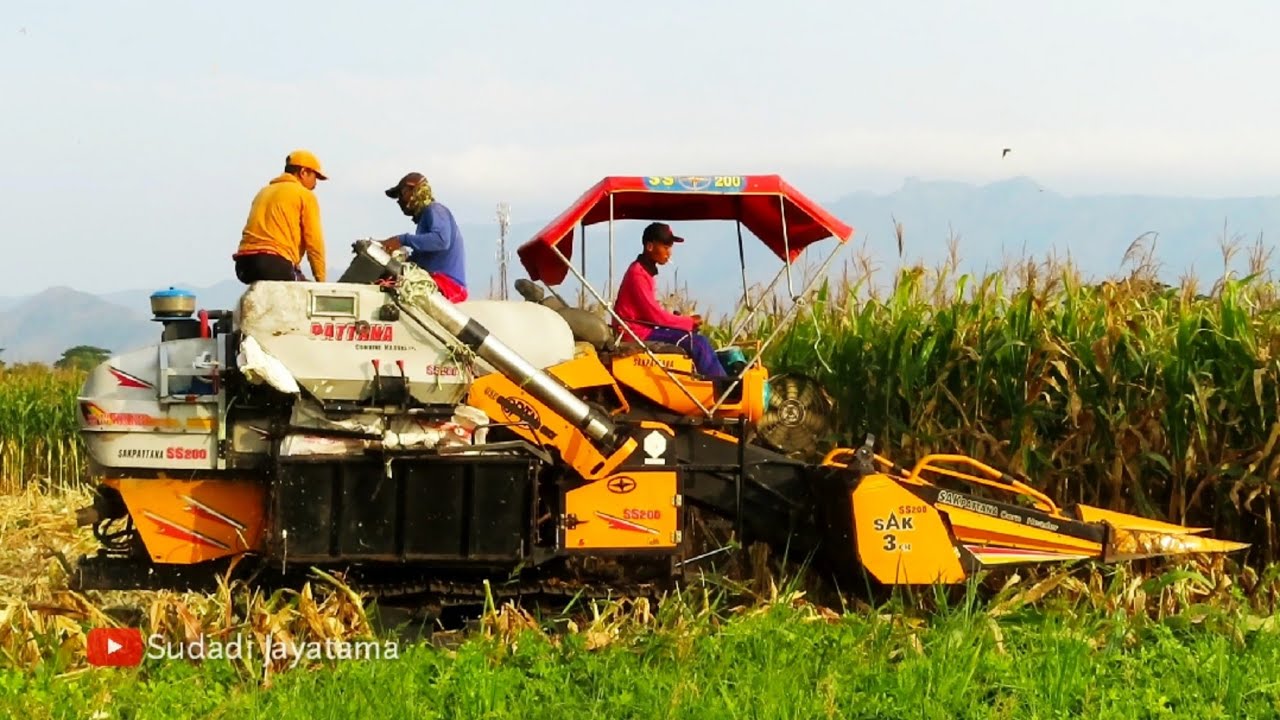 KOMBI JAGUNG SAKPATTANA SS200 DENGAN CORN HEADER JETIS PONOROGO