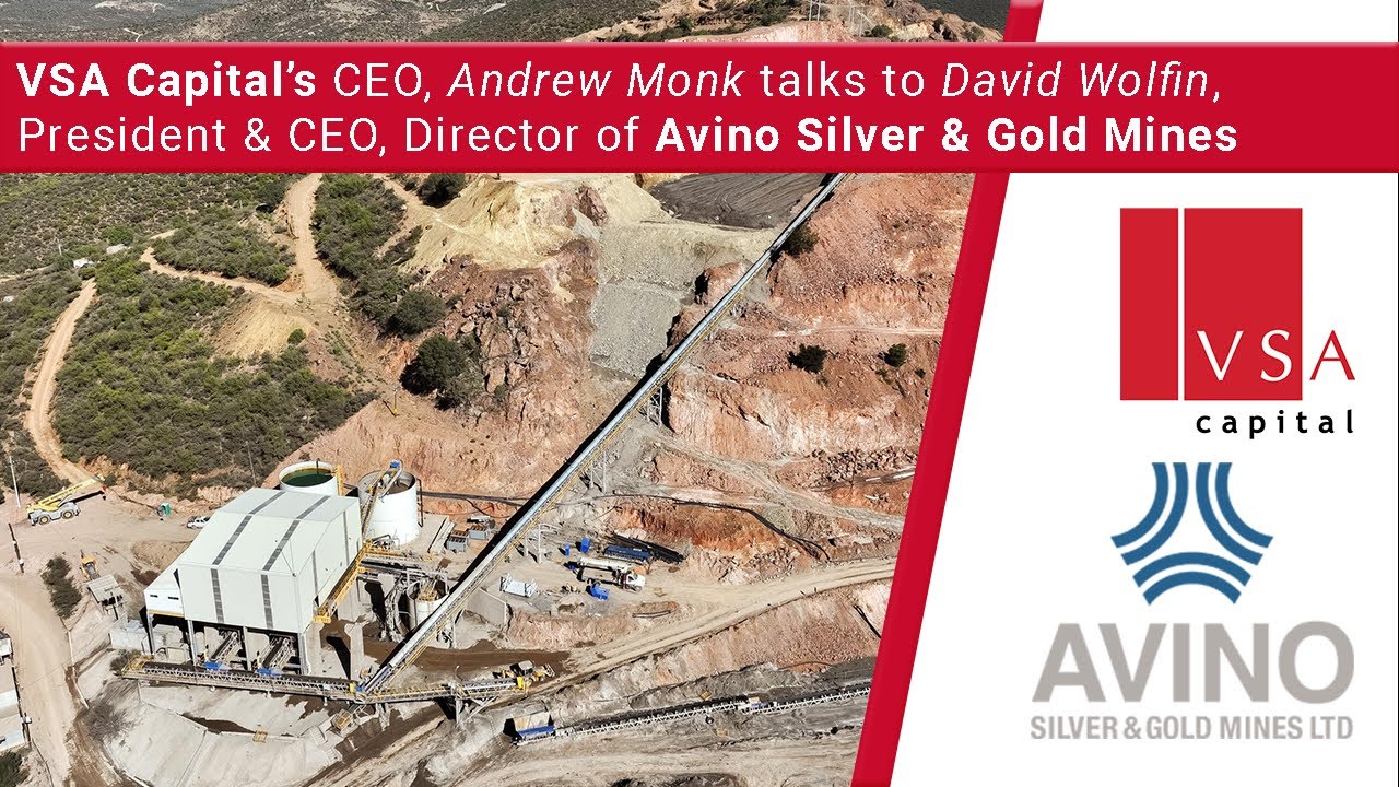 VSA Capital & Avino Silver & Gold 081025