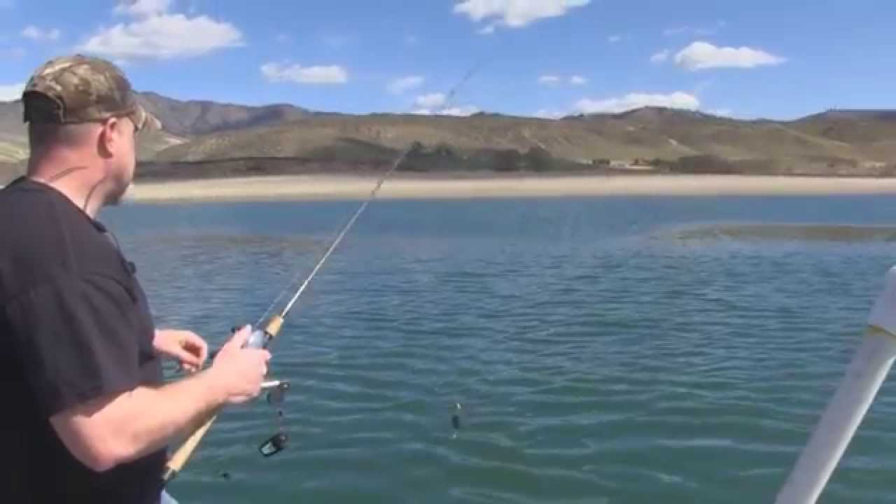 Trout and Kokanee Fishing on Lake Roosevelt