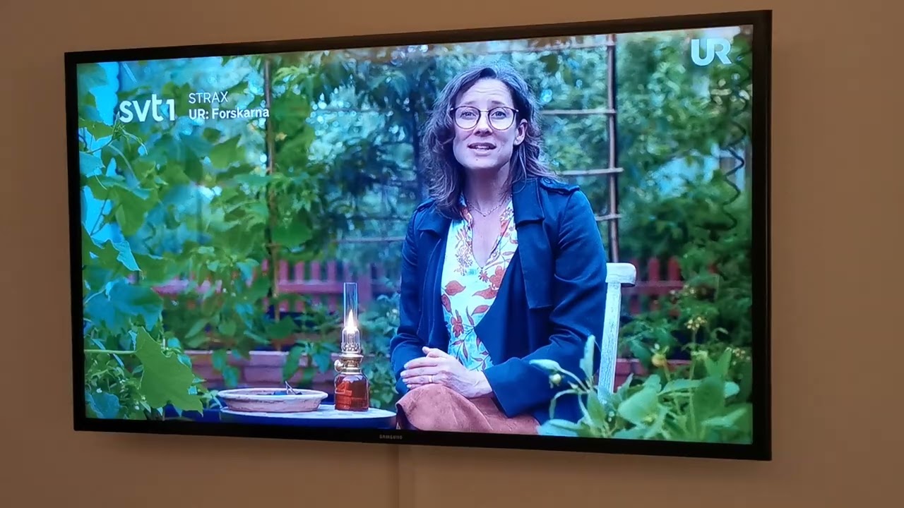 TV Channels via IPTV in Copenhagen, Denmark 🇩🇰