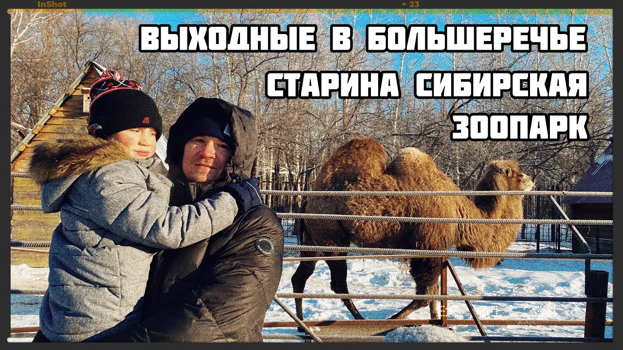 Как провести выходные зимой в Большеречье Омская область. Старина сибирская. Большереченский зоопарк