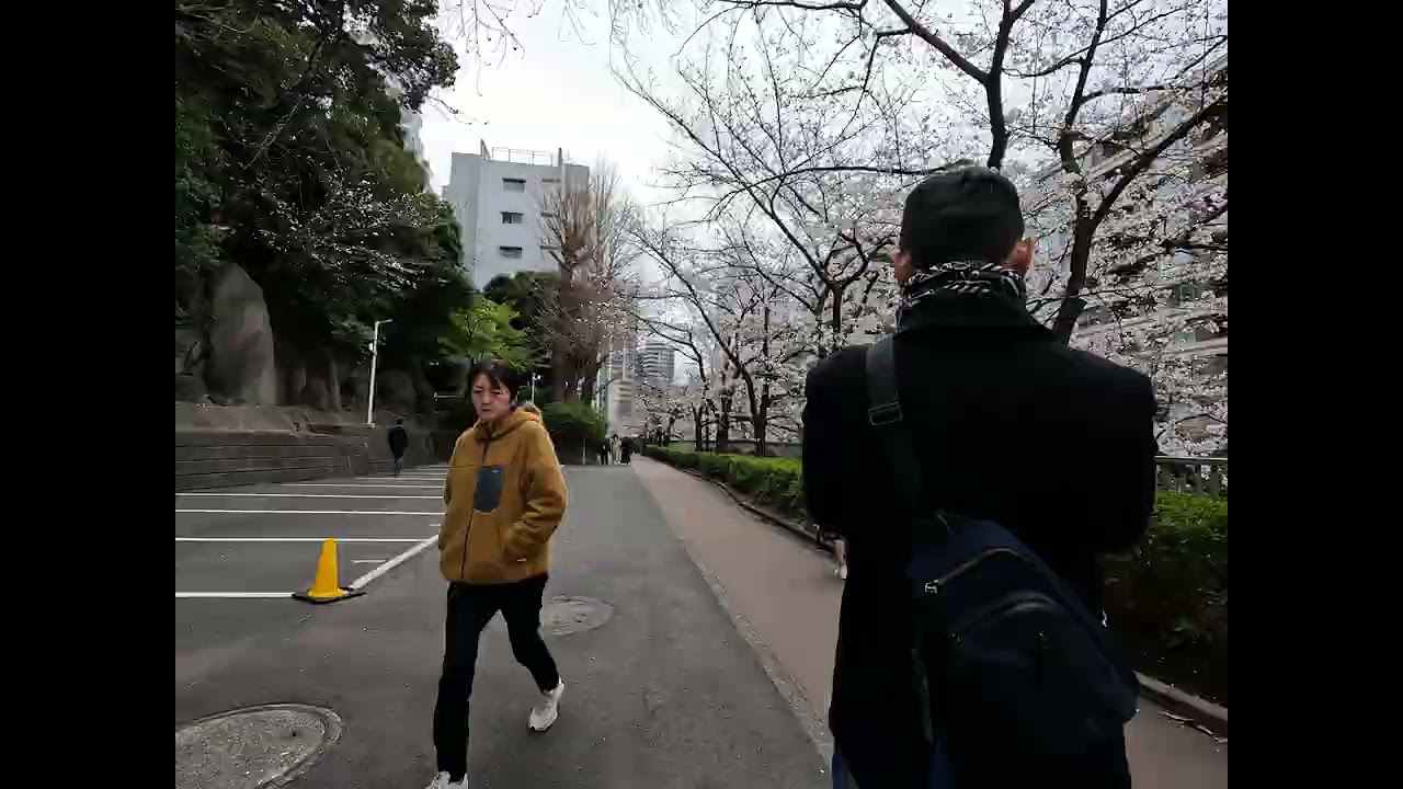 Meguro river