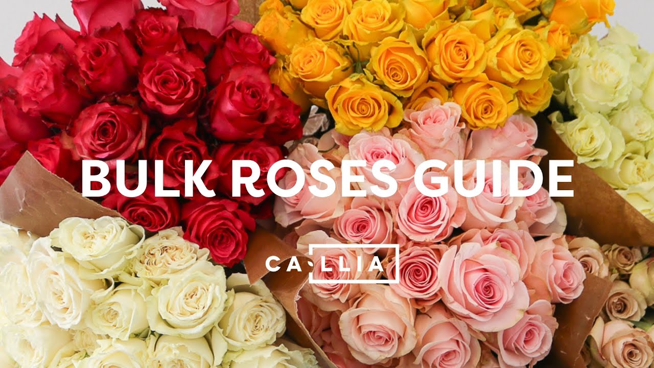 Bulk Roses Care Guide - Unboxing, Prep & Care