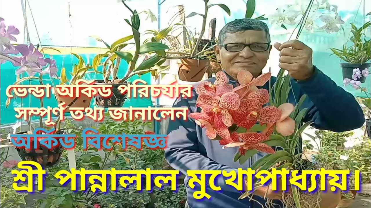 ভেন্ডা অর্কিডের পরিচর্যা How to care your Venda Orchid/@Banchharamerbagan