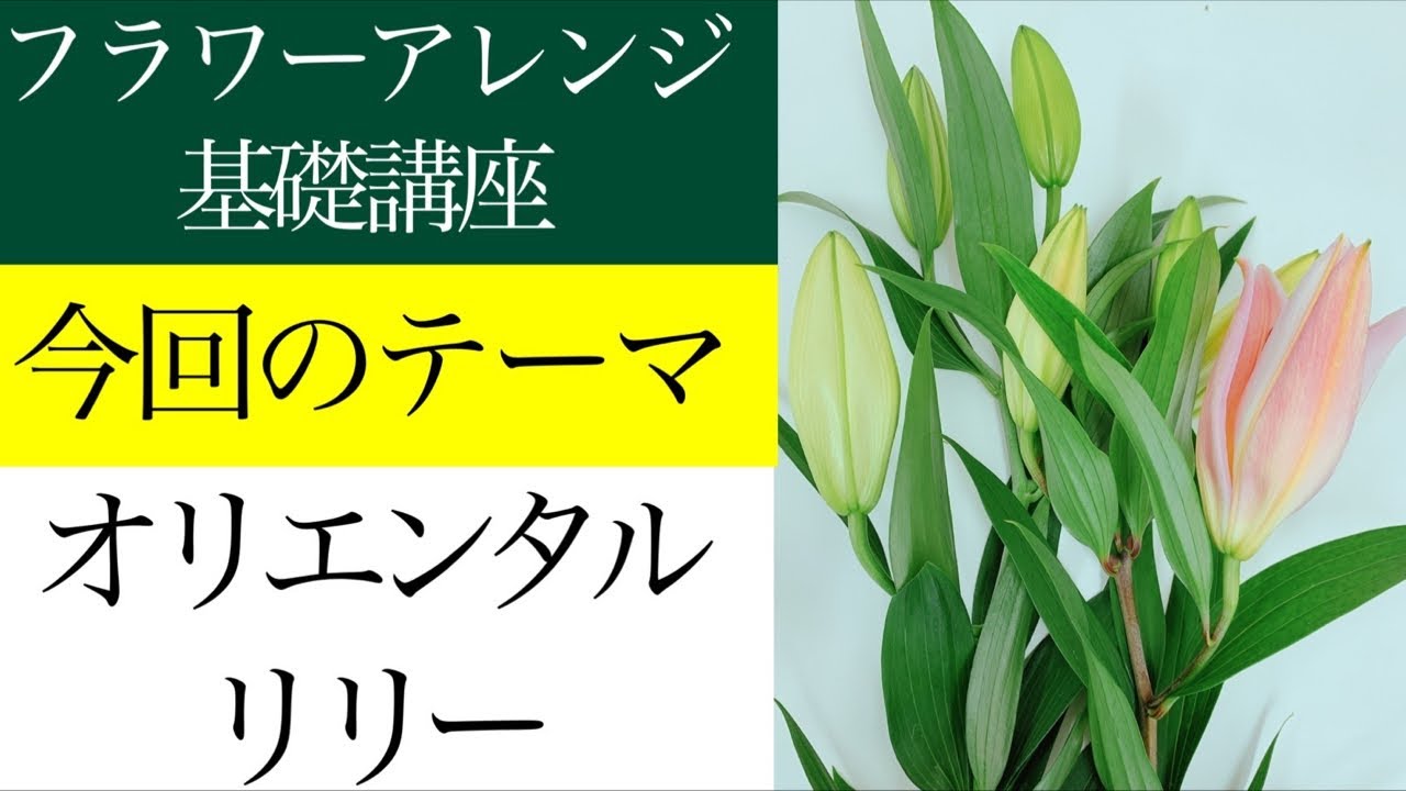 フラワーアレンジメントの作り方基礎講座〜オリエンタルリリーのフラワーアレンジの作り方【ライブレッスン】
