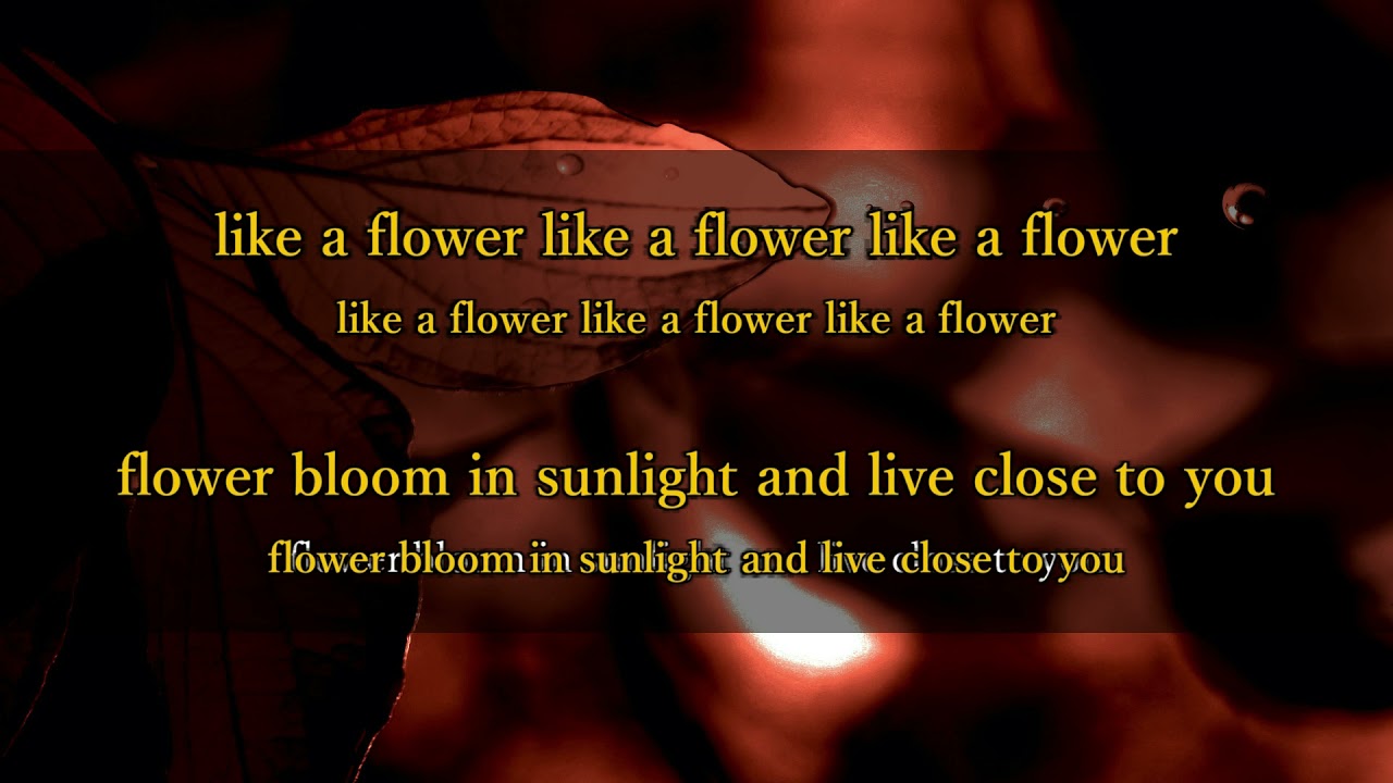 [KARAOKE] flower - L'Arc~en~Ciel / offvocal