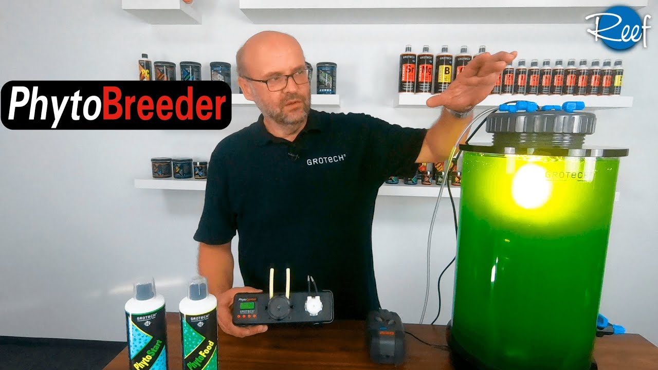 Phytoplankton einfach selbst züchten | GROTECH PhytoBreeder