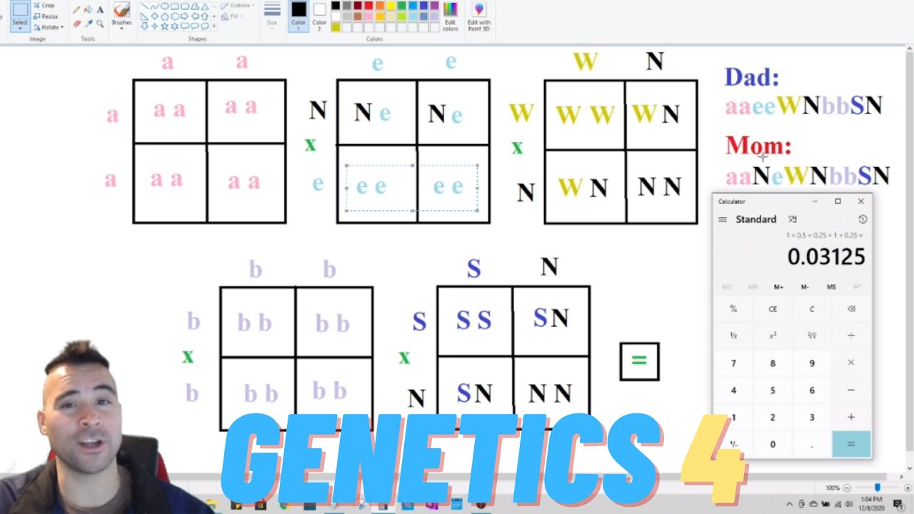 Leopard Gecko GENETICS Pt. 4 | Multiplying Odds to Arrive at Infinite Outcomes! (2021)