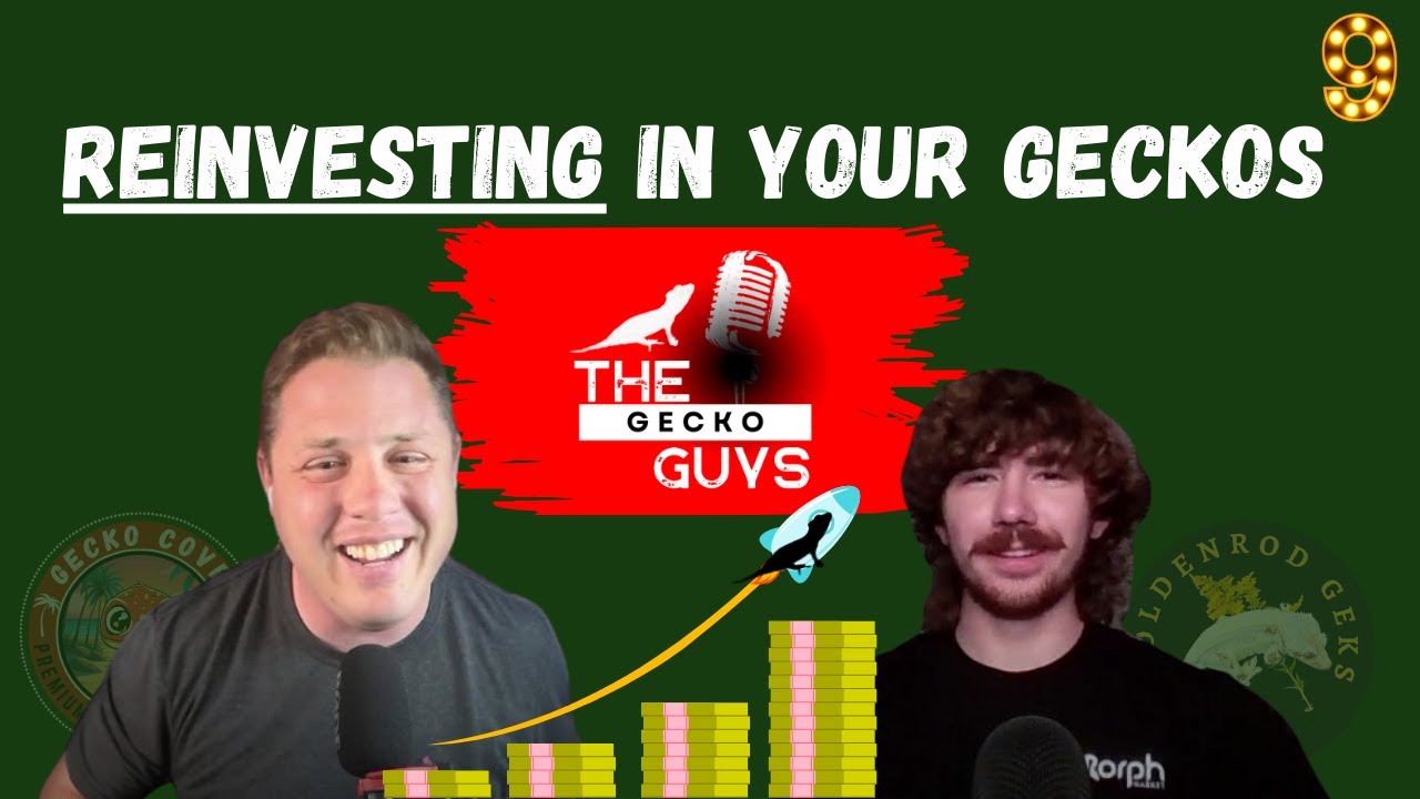 Reinvesting In Your Gecko Hobby - The Gecko Guys  - Episode 9