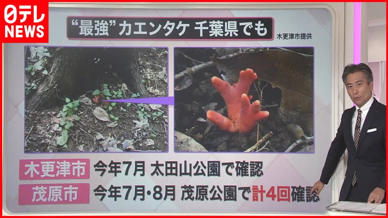 【解説】味覚の秋も注意「食中毒」  公園に&ldquo;最強&rdquo;の毒キノコ&hellip;うっかり触ると危険『知りたいッ！』