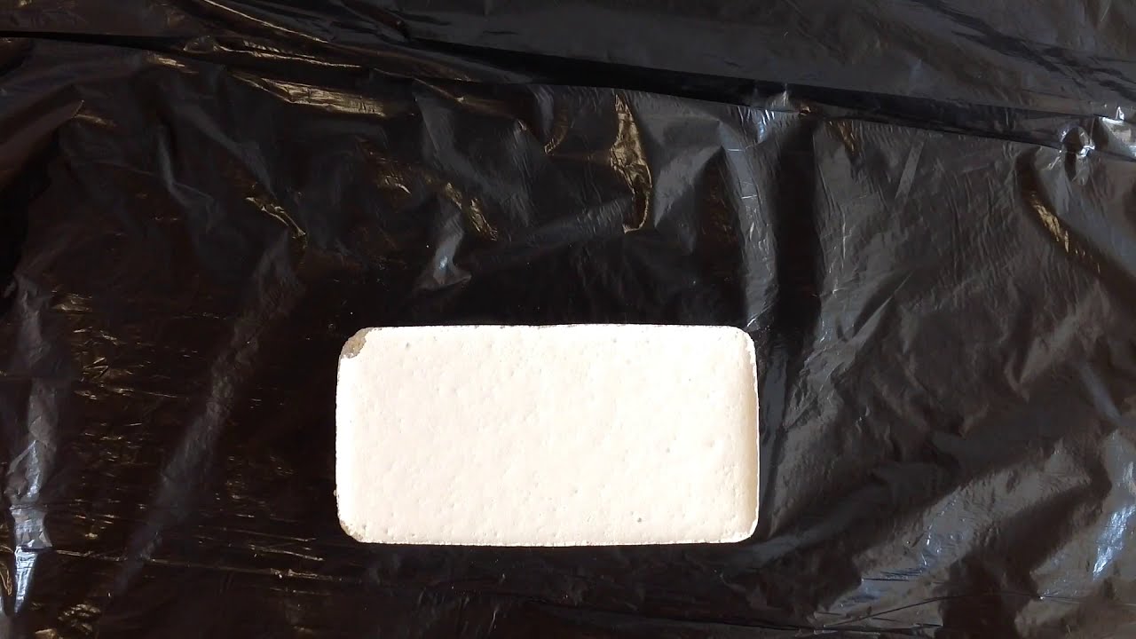 Alçıdan formicarium yapıyoruz