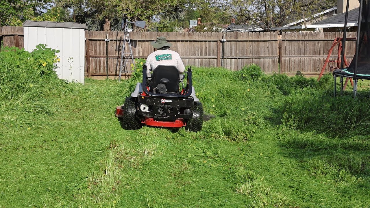 Cutting DOWN 6ft TALL grass in a BACKYARD CLEAN UP!