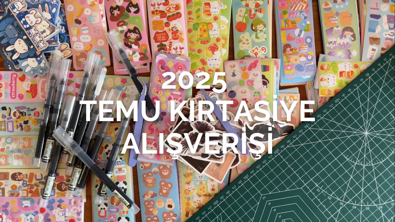 2024 Temu kırtasiye alışverişi | stickers | gel pens