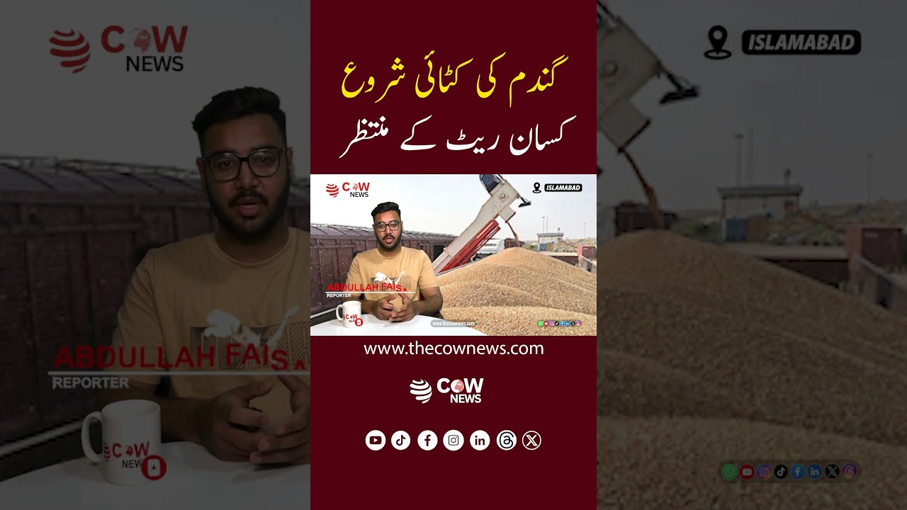 Farmers Alert! Big Wheat Harvest: But What&rsquo;s the Price #wheat #farmer