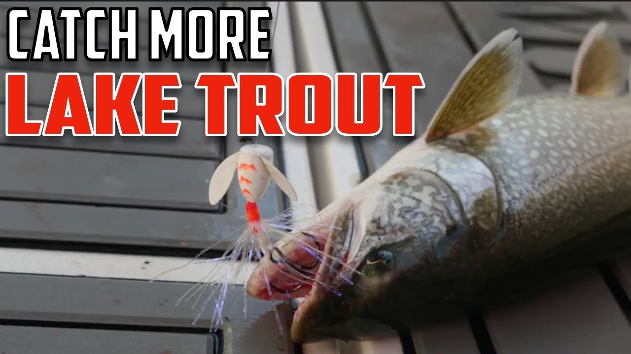 A Captain's Guide To Lake Trout Fishing on Lake Michigan