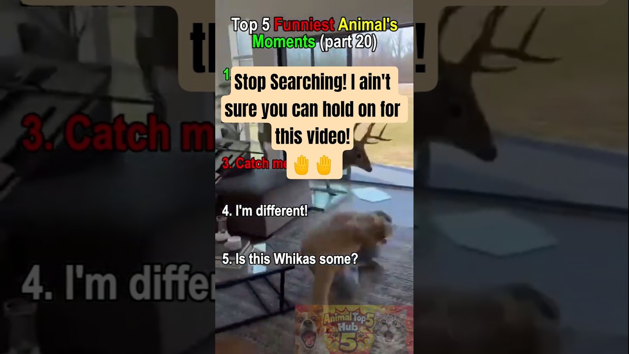 Top 5 Funniest Animal's Moments (part 20) #funny #animals #moments #viral #trending #shorts #fyp