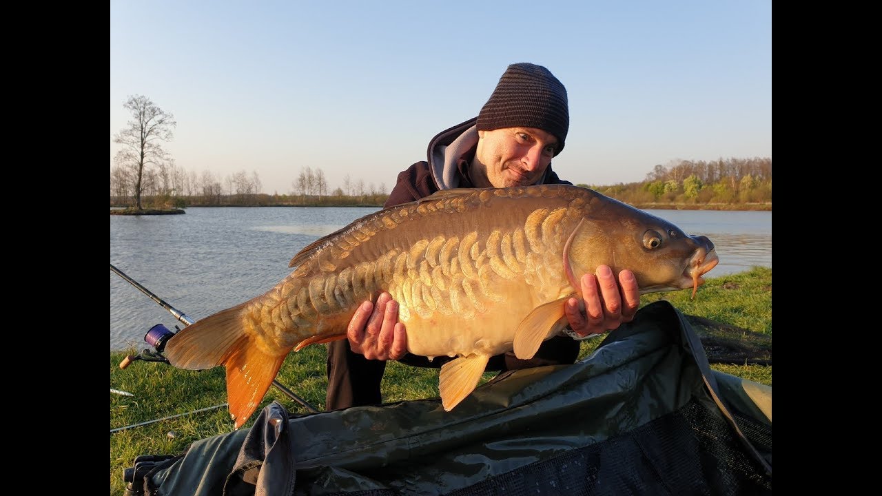 Łowisko komercyjne CAŁOWANIE 2019