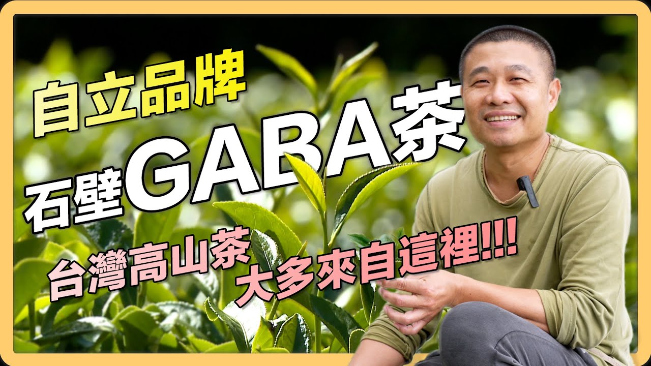 【雲林 古坑】來自群山環繞的GABA茶｜用心的產業｜420｜