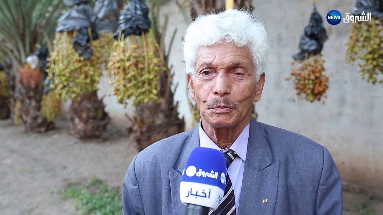 الحاج أحمد كرومي يحقق معجزة بجني التمور في مزرعتة في البليدة موسم اكتوبر 2016