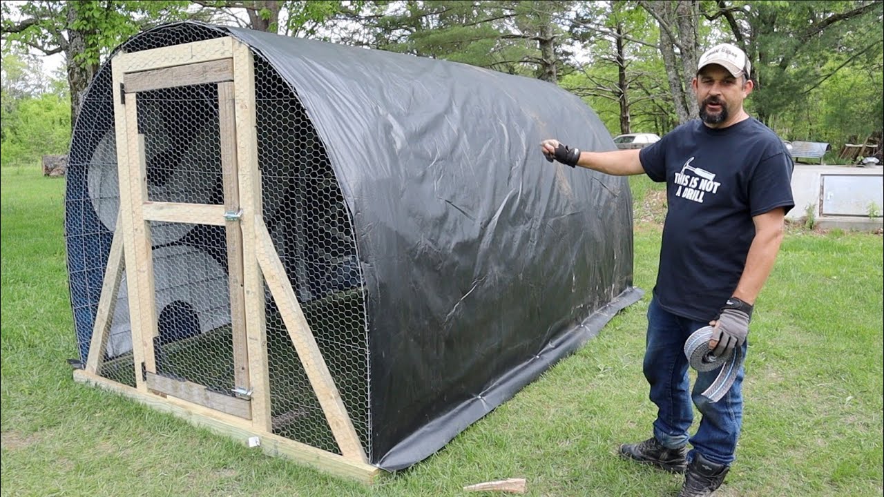 The Chickens MOVE into the HOOP COOP!