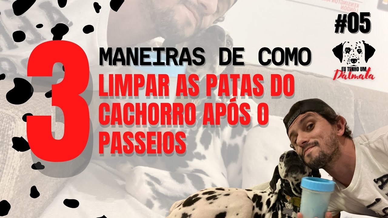 COMO LIMPAR AS PATAS DO CACHORRO APÓS O PASSEIO l 3 dicas que vão te ajudar nessa pandemia.