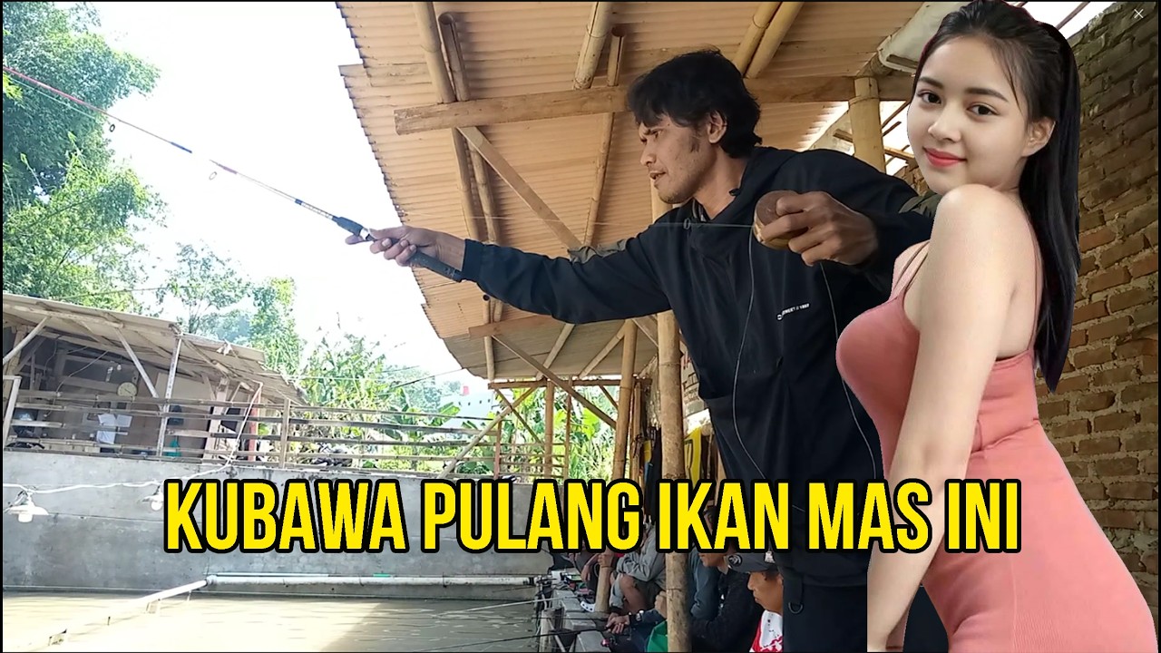 KUBAWA PULANG IKAN MAS INI