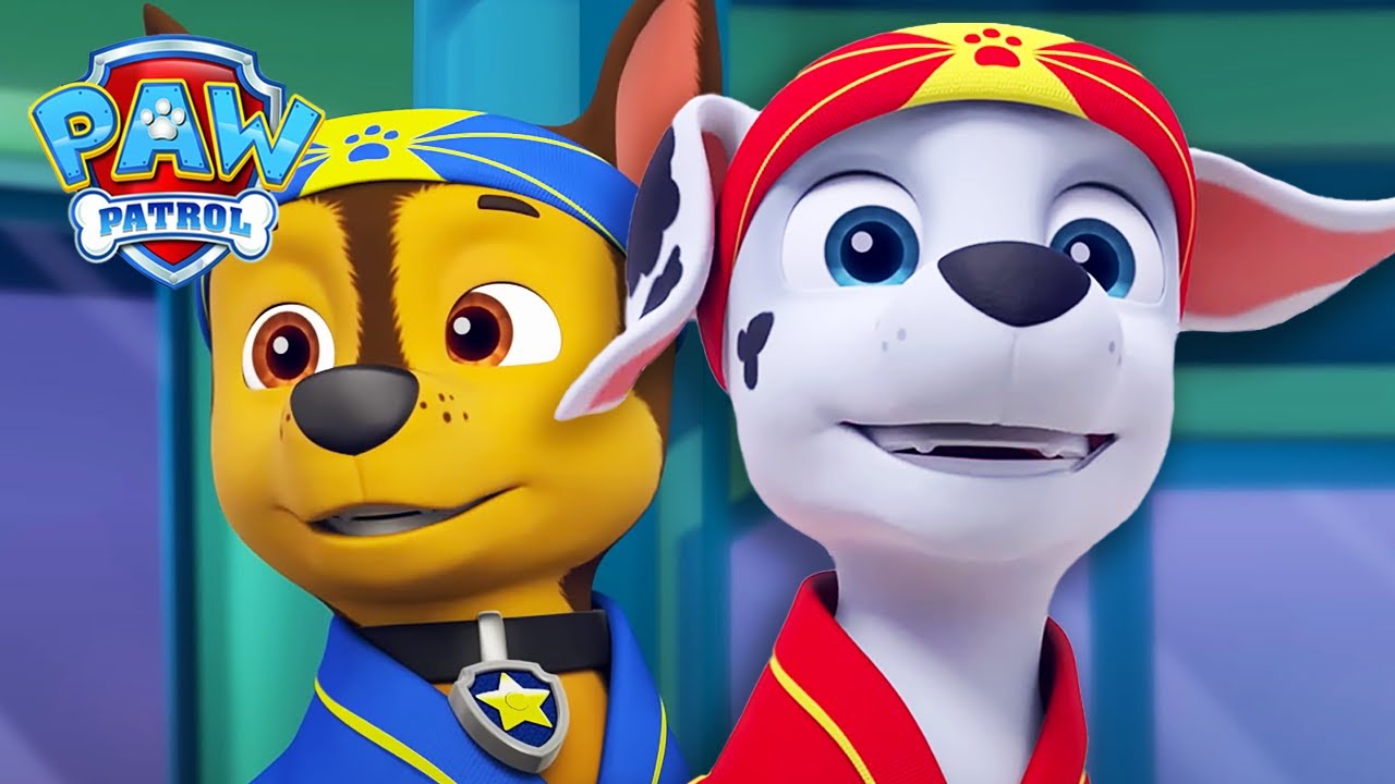 Marshall använder sina karatefärdigheter! - PAW Patrol På Svenska Tecknad film för barn