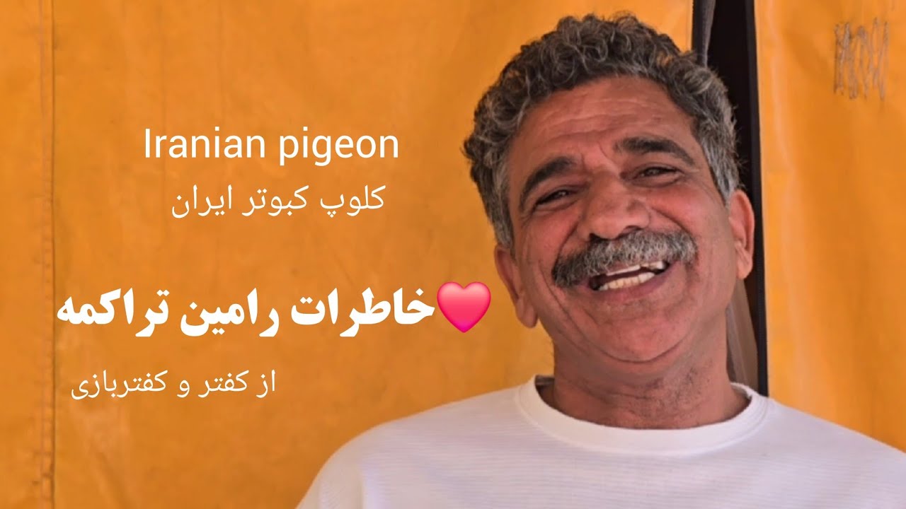 ❤️2 مرداد 1404خاطرات ۳۰ سال کفتر و کفتربازی  آقای رامین تراکمه از اصفهان iranian high flyers pigeon