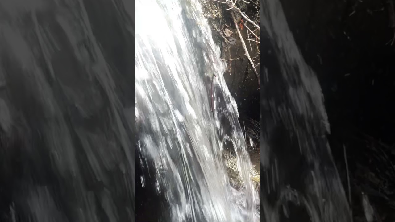 #shorts // Waterfalls of Minnesota // Midwest Hiking