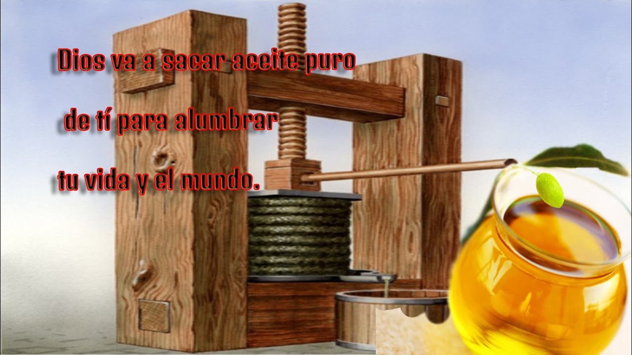 Aceite de Oliva, del alumbrado del candelabro Menorá Éxodo 27:20 La Biblia dice