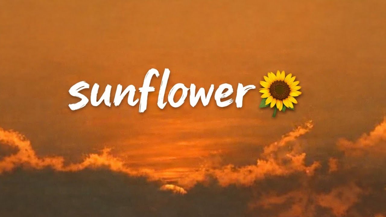 Sunflower | Soft Melody | Official Music Video
