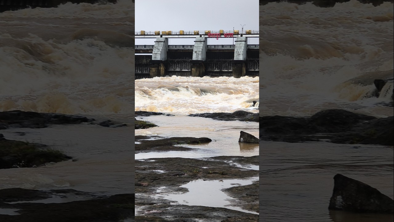 #gangapur #nashik #dam 🏞️🏞️🏞️🌊🌊🌊#watersounds #travel #viral #nature #riverconfluence