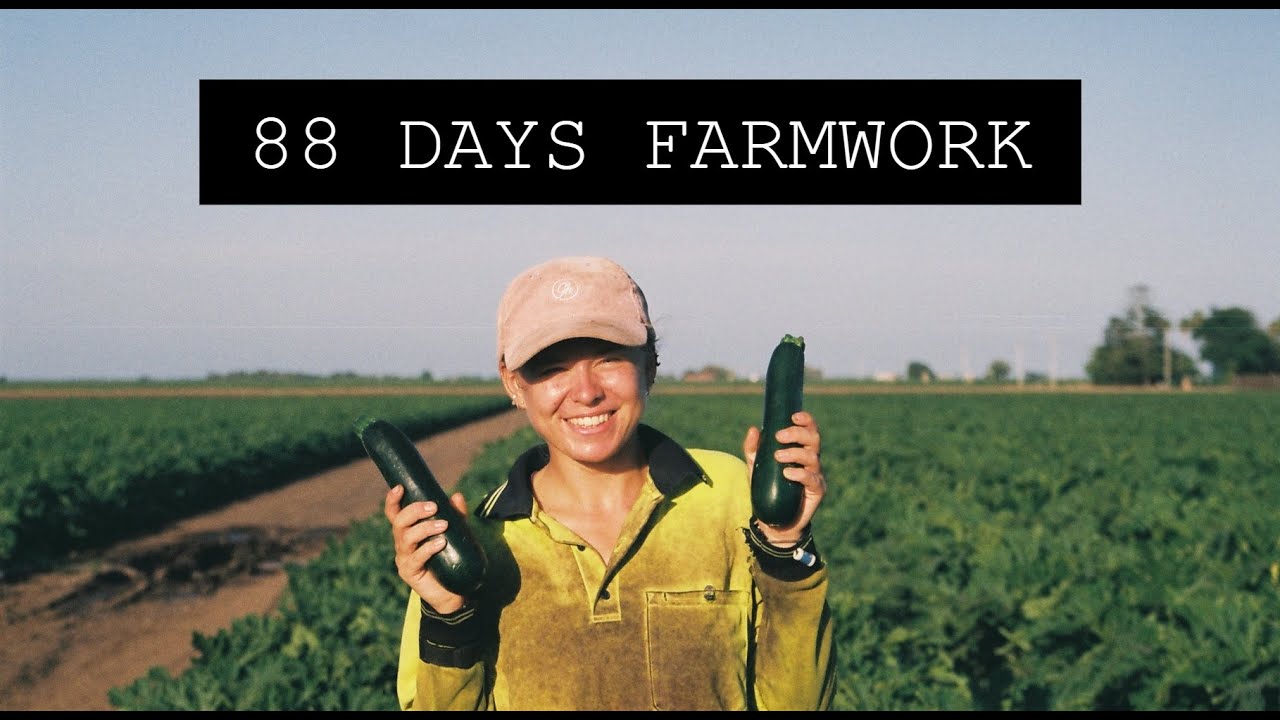 88 DAYS FARMWORK: EVERYTHING YOU NEED TO KNOW