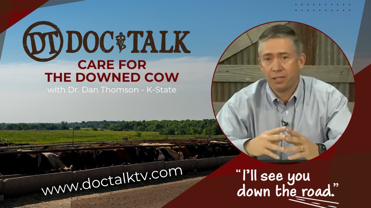 DocTalk Ep 36 - Care for the Downed Cow