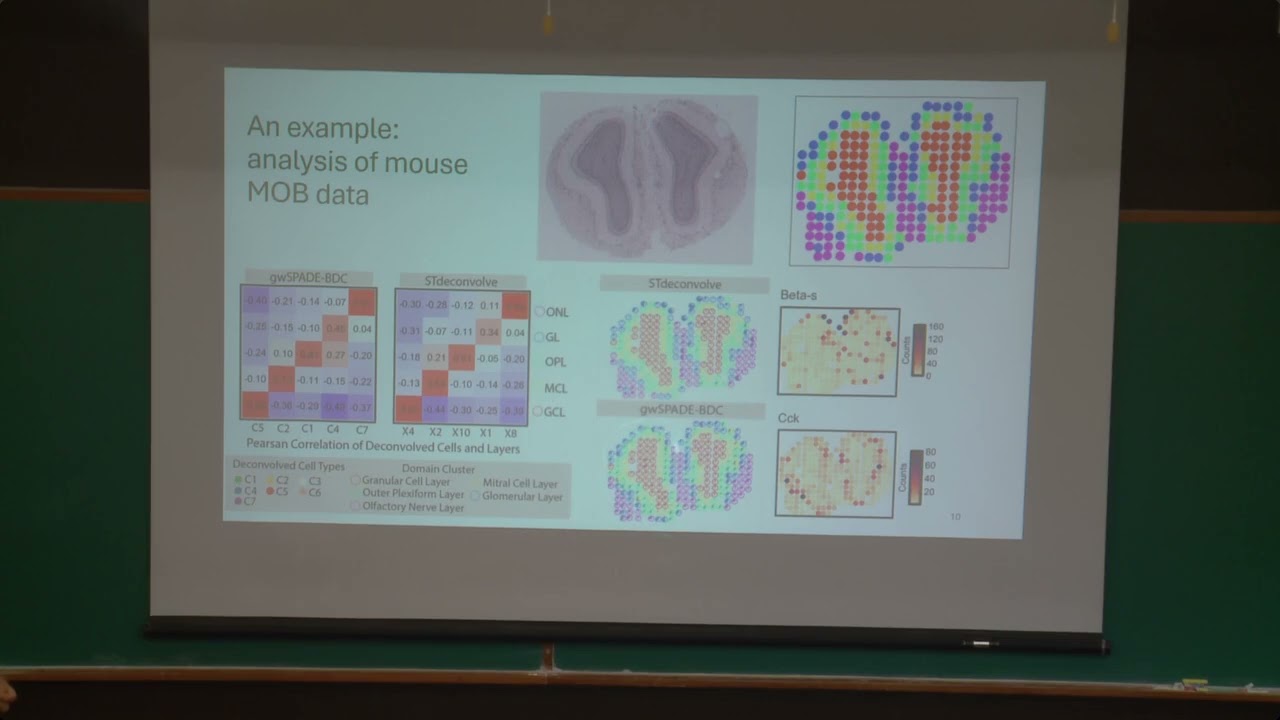Addressing some challenges in spatial transcriptomics -- Yuehua Cui