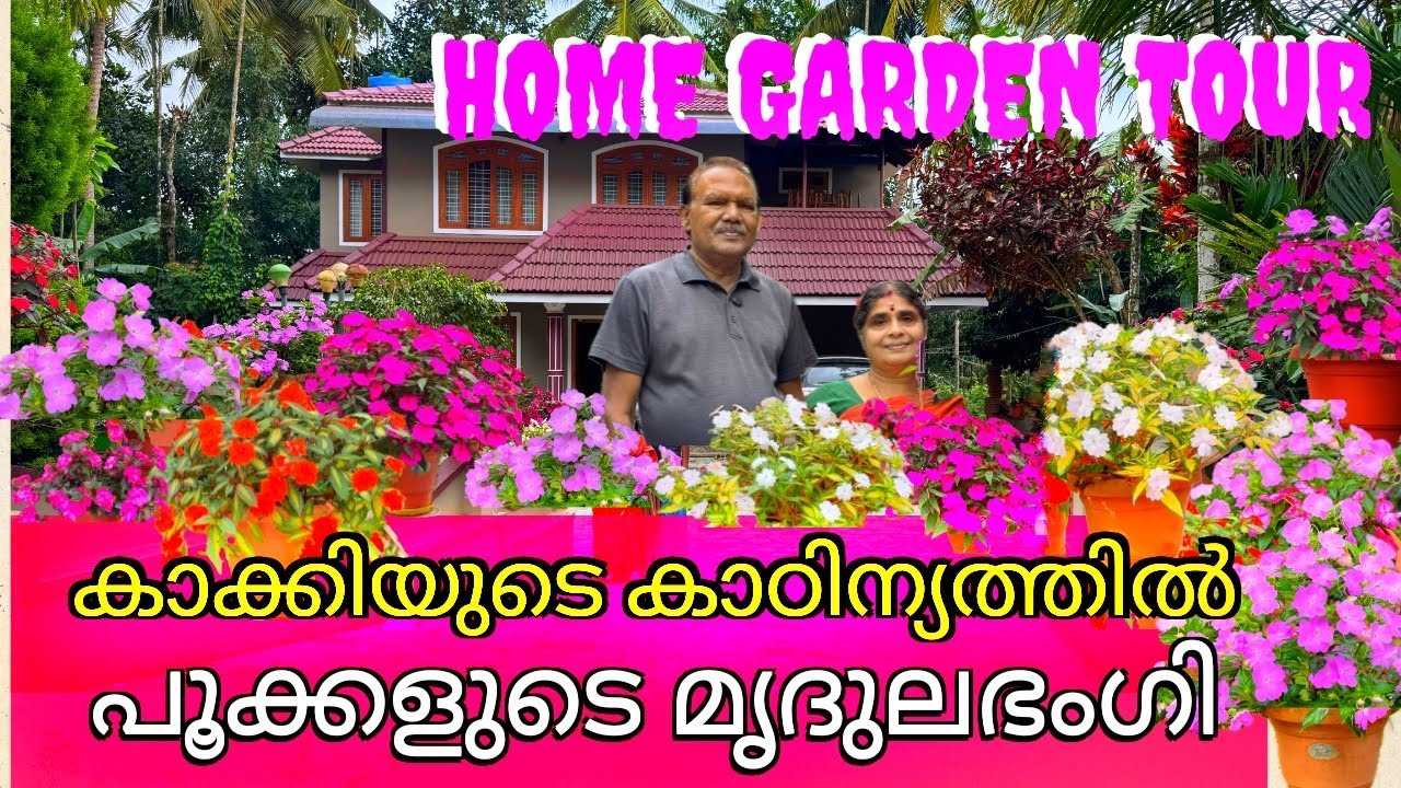 Ret.പോലീസുകാരന്റെ ബാൽസം പൂന്തോട്ടം കണ്ടാൽ മതിമറന്നുപോകും.പല നിറങ്ങളിലുള്ള പൂക്കൾ നയന മനോഹരമാണ്.,,,