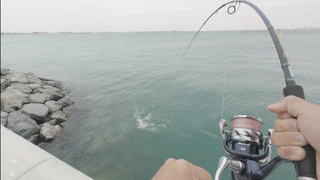 3.9 Kg King Mackerel on Shimano Twin Power SW