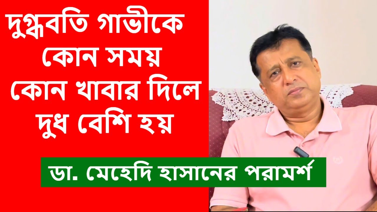 দুগ্ধবতি গাভীকে কোন সময় কোন খাবার দিলে দুধ বেশি হয় | ডা. মেহেদি হাসানের পরামর্শ | Agriculture news